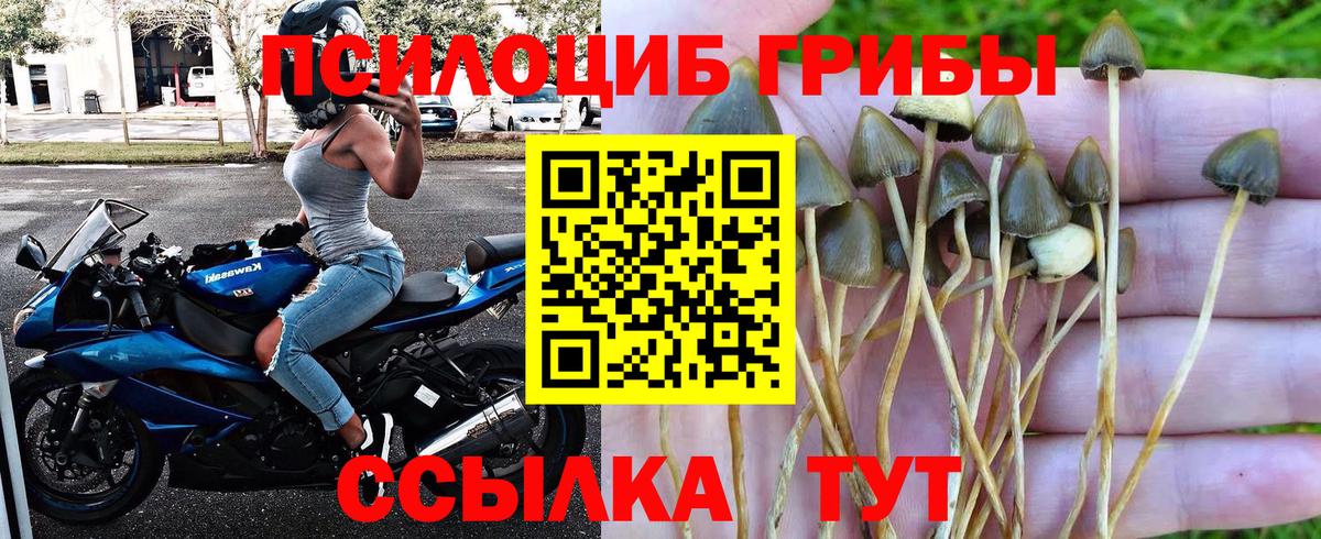 Галлюциногенные грибы Magic Shrooms  Вход с VPN  Ростов-на-Дону 