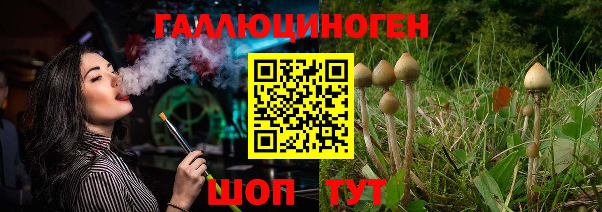Псилоцибиновые грибы GOLDEN TEACHER Ростов-на-Дону